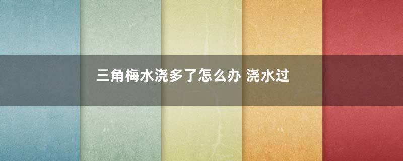 三角梅水浇多了怎么办 浇水过多补救方法